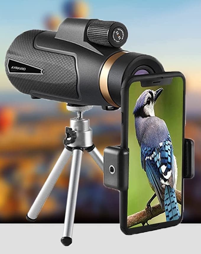 A phone mounted to the telescope showing a bird on the screen