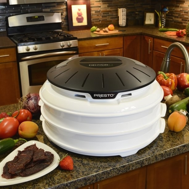 the dehydrator on a countertop surrounded by vegetables and jerky