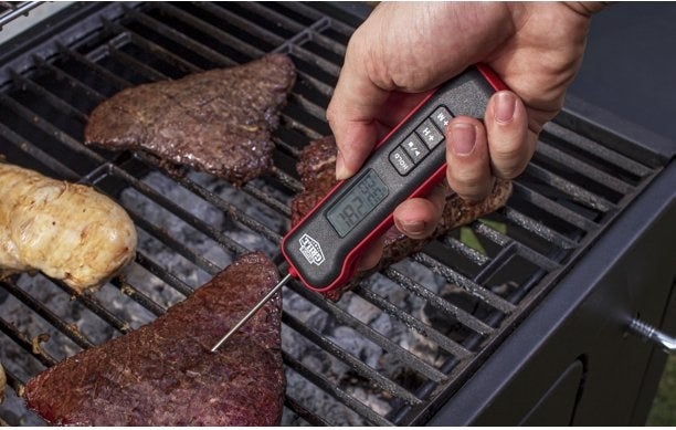 a model using the thermometer on a piece of meat on a grill