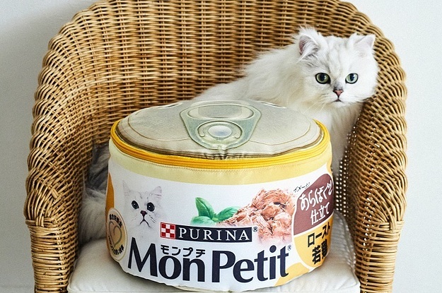 「モンプチ」の缶が収納ボックスに!? 公式ファンブック「Mon Petit ほんものそっくり! ふわふわ収納ボックスBOOK」の内容にも注目！