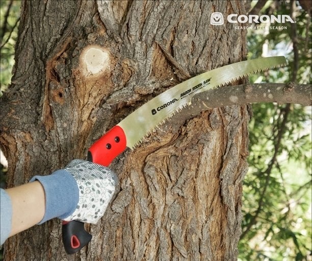 model using the saw to cut a tree limb off