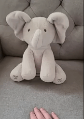 reviewer's gif of the elephant flapping its ears