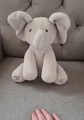 reviewer's gif of the elephant flapping its ears
