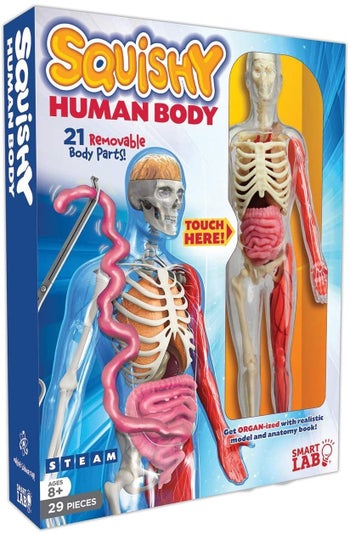 The human body toy in packaging