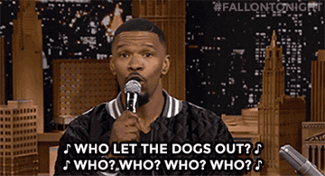 Jamie Foxx singing with the words &#x27;who let the dogs out&#x27;