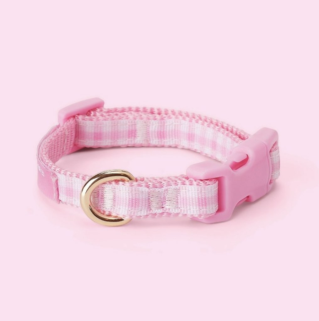 Target dog outlet collars