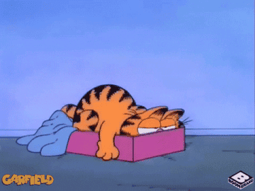 Garfield sleeping