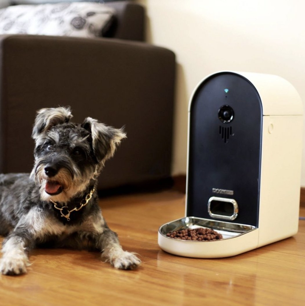 Target store dog feeder