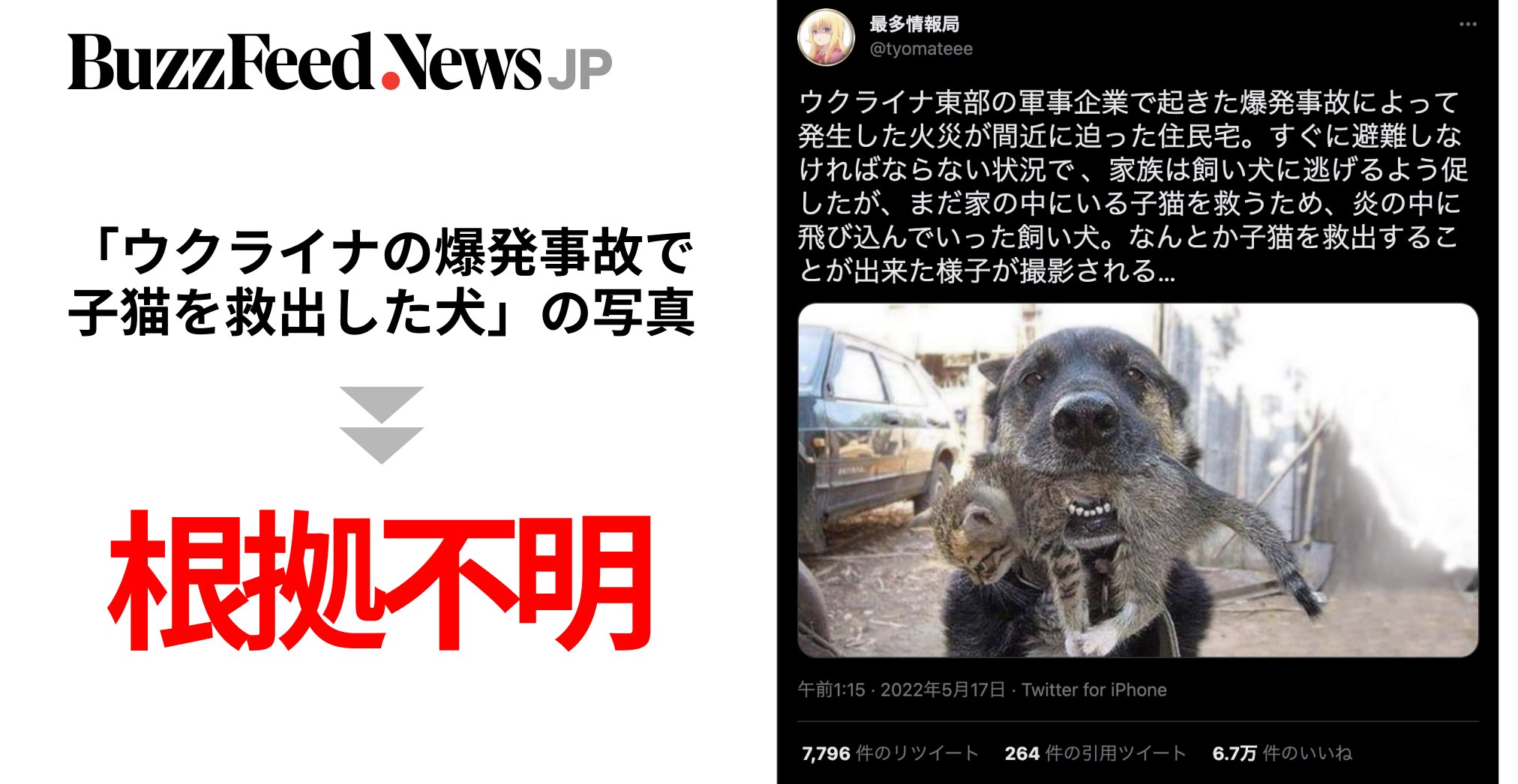 ウクライナの爆発事故で子猫を救出した犬 の写真が拡散 根拠不明 ロシアの侵略めぐり 軍需工場の火災 と広がったが