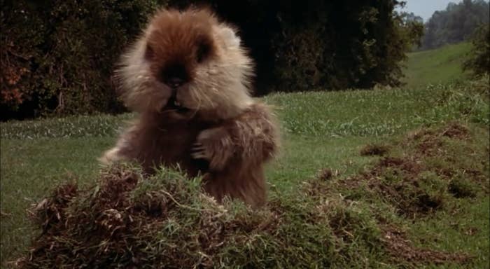 The gopher dancing in &quot;Caddyshack&quot;