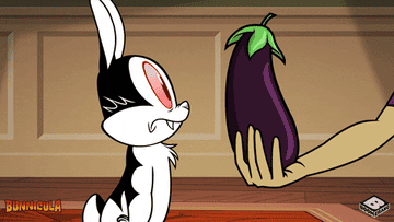 Bunny sniffing and licking eggplant before hugging it