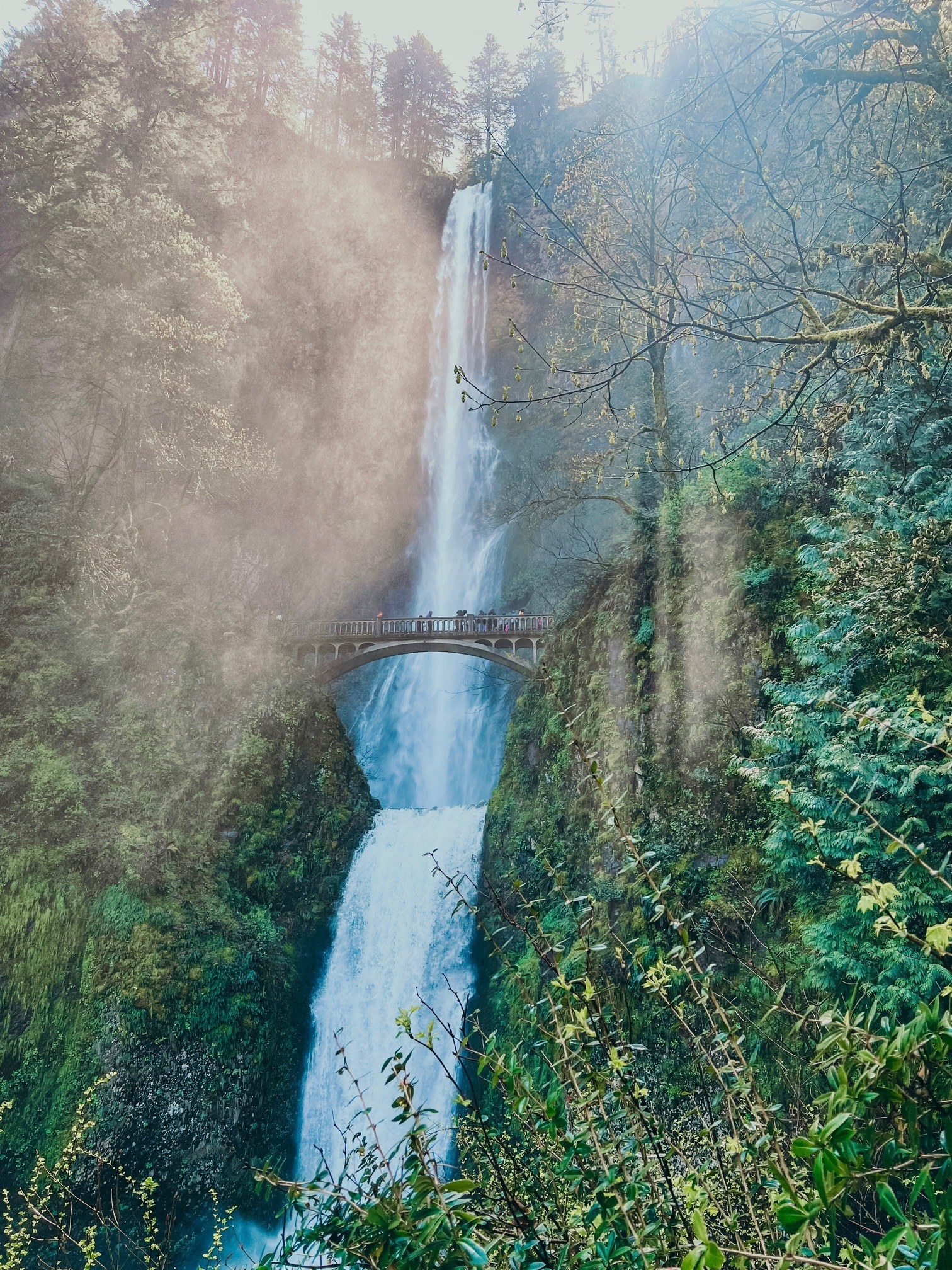 Multnomah Falls in Oregon&#x27;s Columbia River Gorge