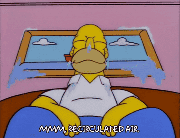 Homer Simpson sitting on the couch saying, &quot;mmm, recirculated air&quot;