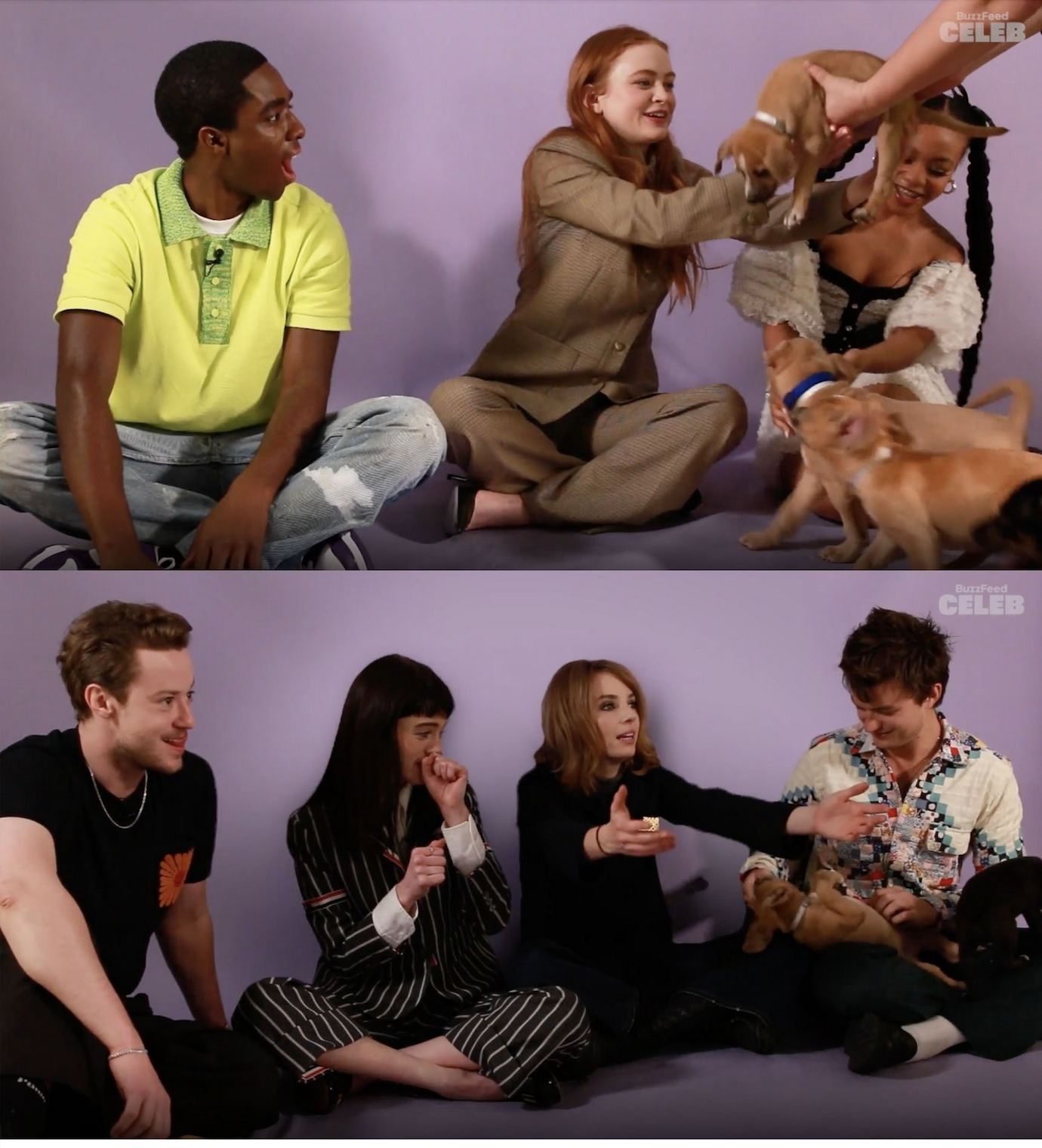 All the members of the cast reacting with happiness to new puppies being brought out