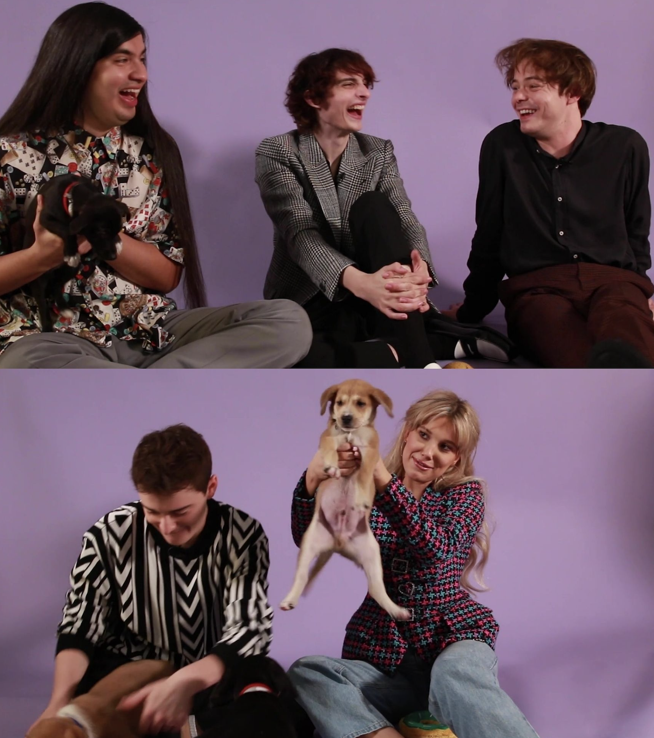 The cast members holding puppies up to the camera