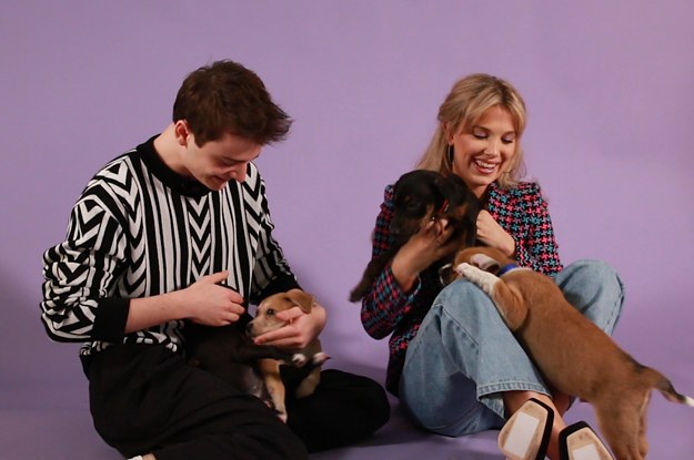 The "Stranger Things" Cast Did Our Puppy Interview And The Cuteness Is Too Overwhelming