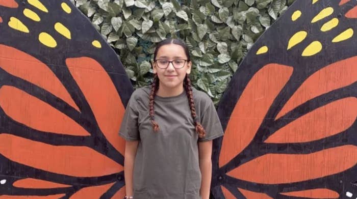 A girl with pigtails stands between two drawn butterfly wings