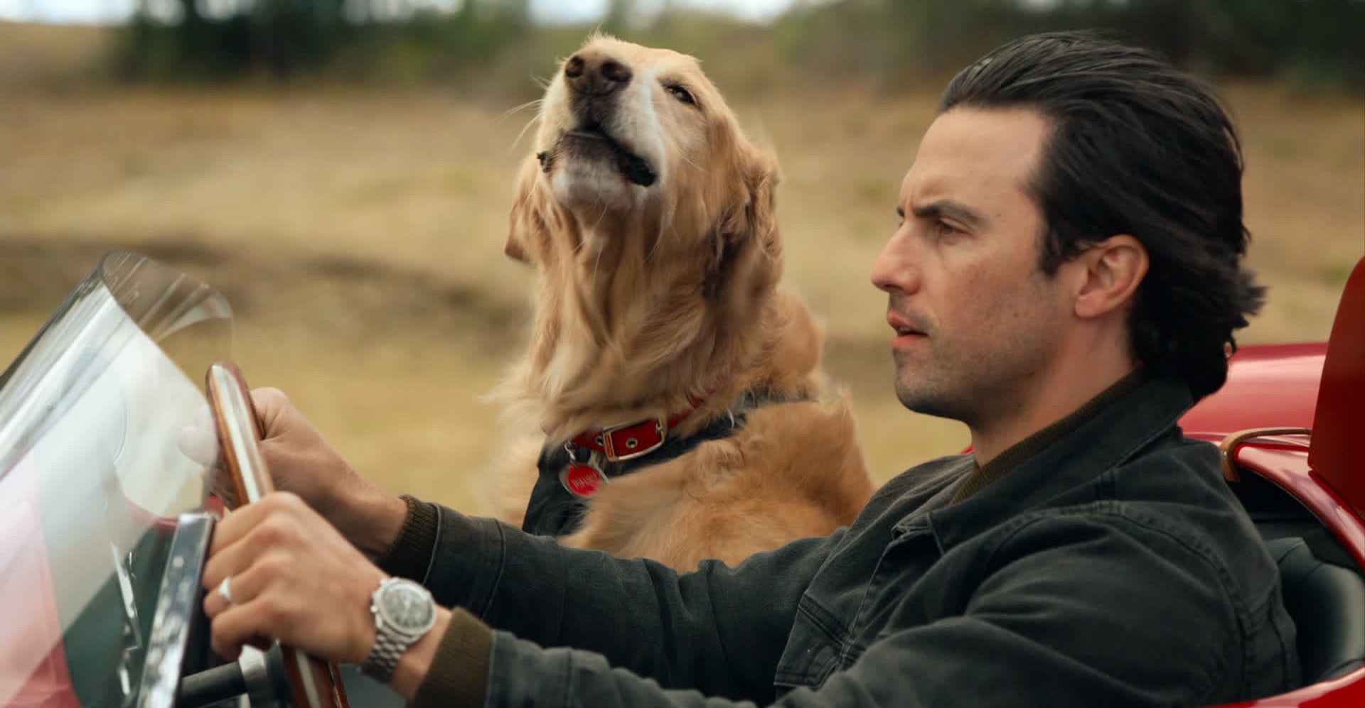 A man is seen driving a car with his dog