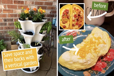A split thumbnail of a vertical garden and an omelet