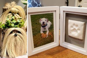 Shiz Tzu-shaped planter with plant inside, reviewer image of double frame with dog photo and paw print imprint on table