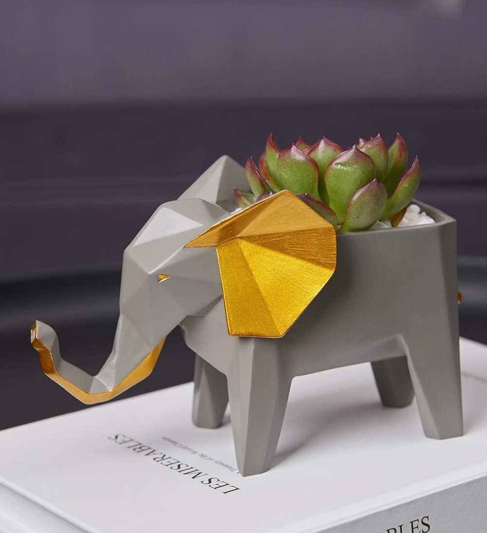 an elephant-shaped planter with a succulent inside