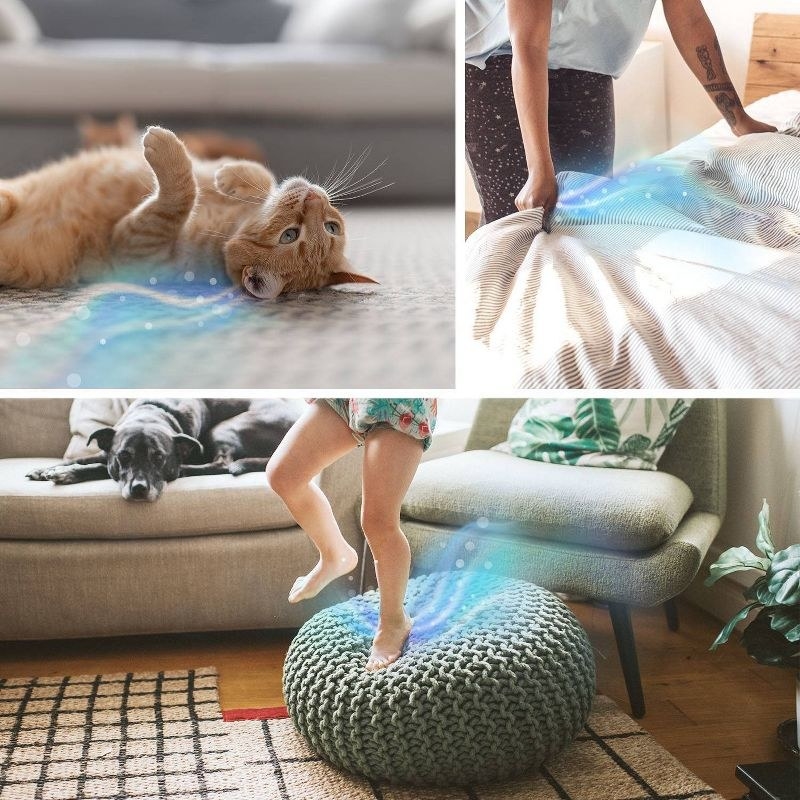 a split image of a cat and two models interacting with fabrics that have blue and green scent lines