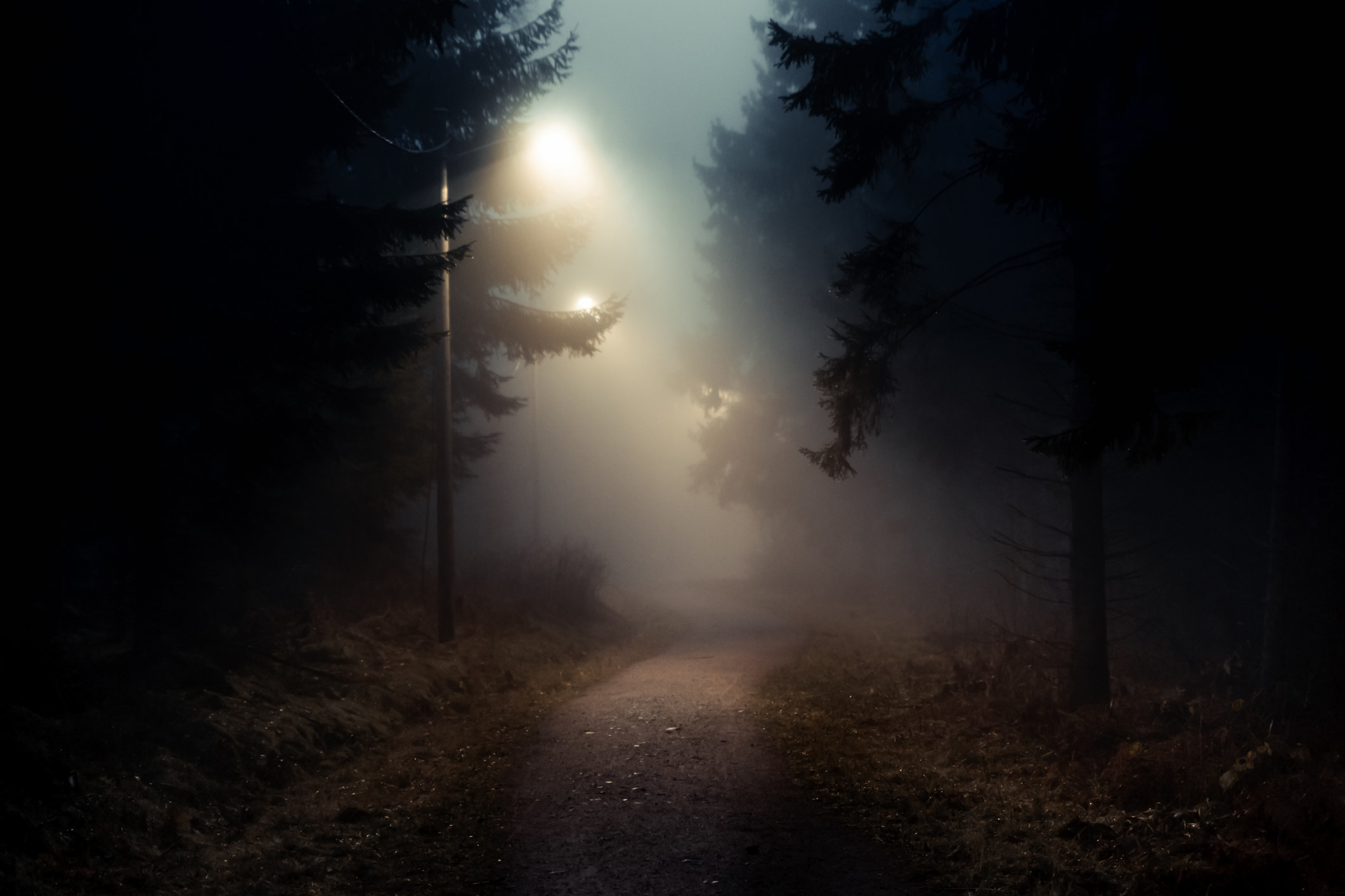 A dark, desolate road illuminated by moonlight