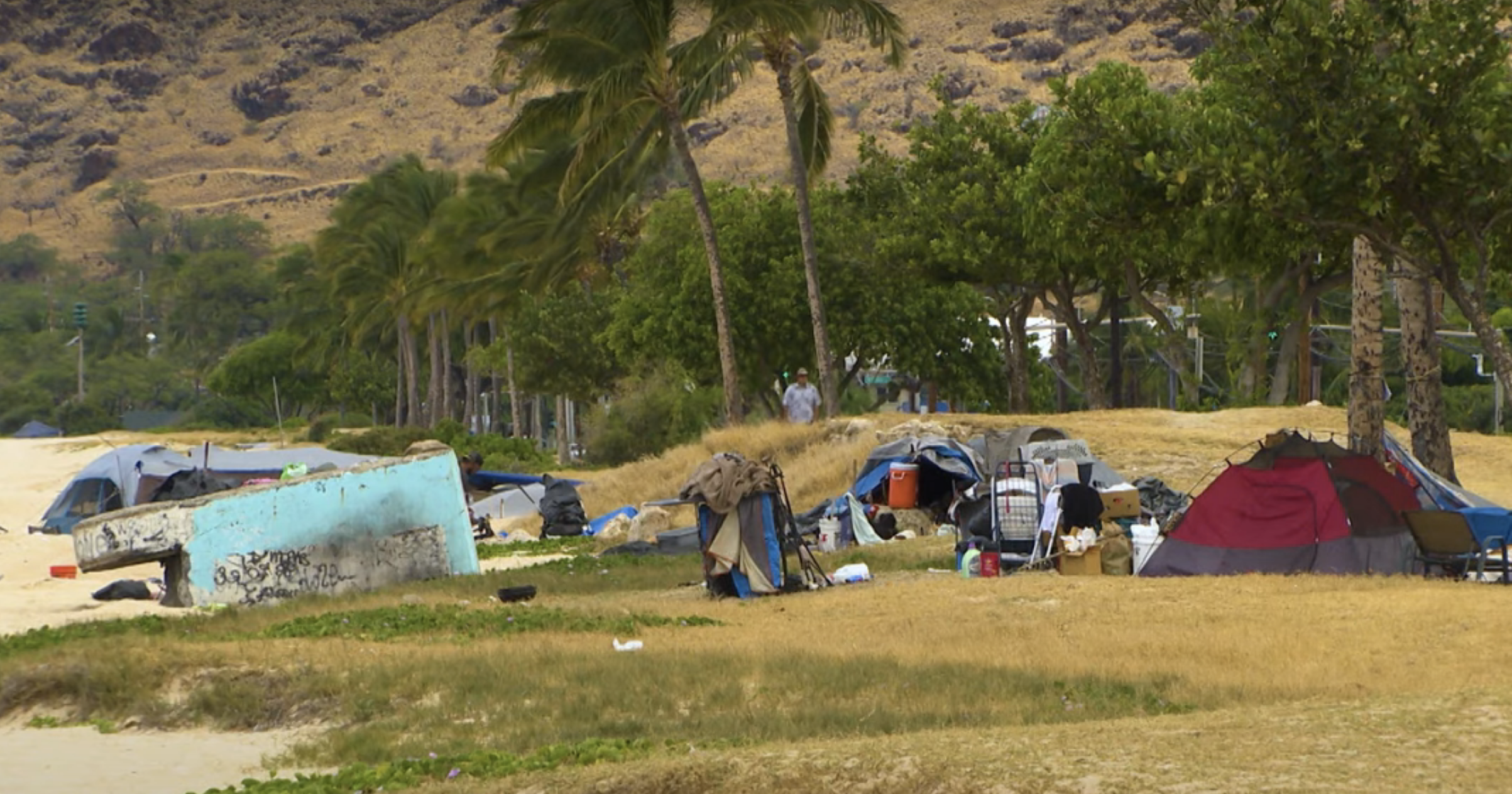 A homeless camp on the Hawaiian islands.