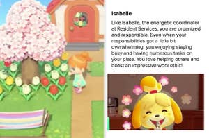 Image of "Animal Crossing: New Horizons" with the result "Isabelle"