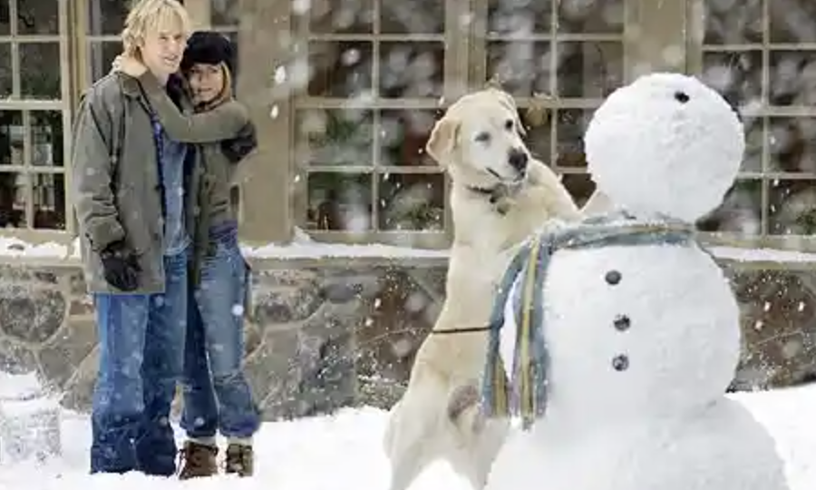 A couple is seen standing in the snow with their dog, who is jumping on a snowman