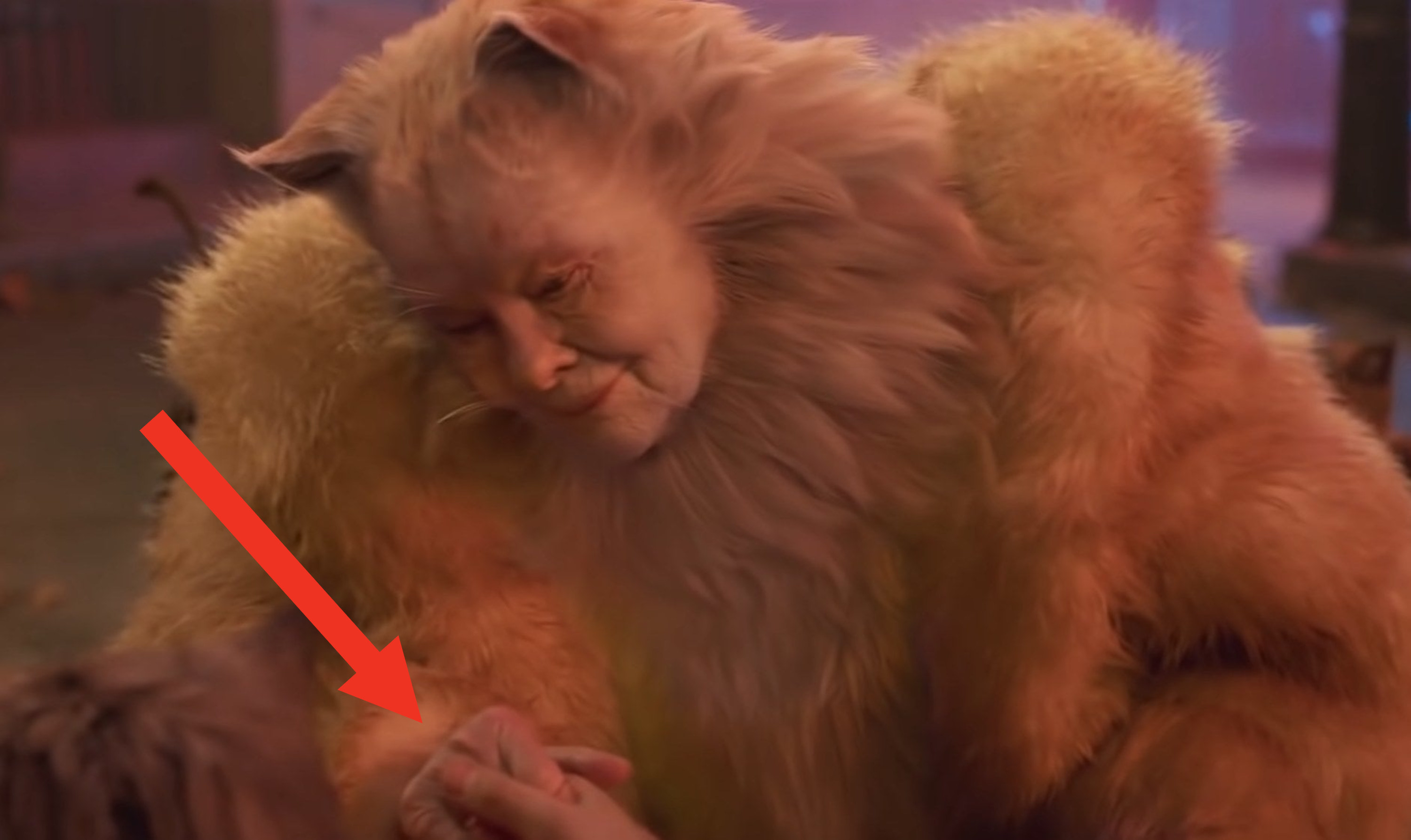 Judi Dench in Cats but with her human hands