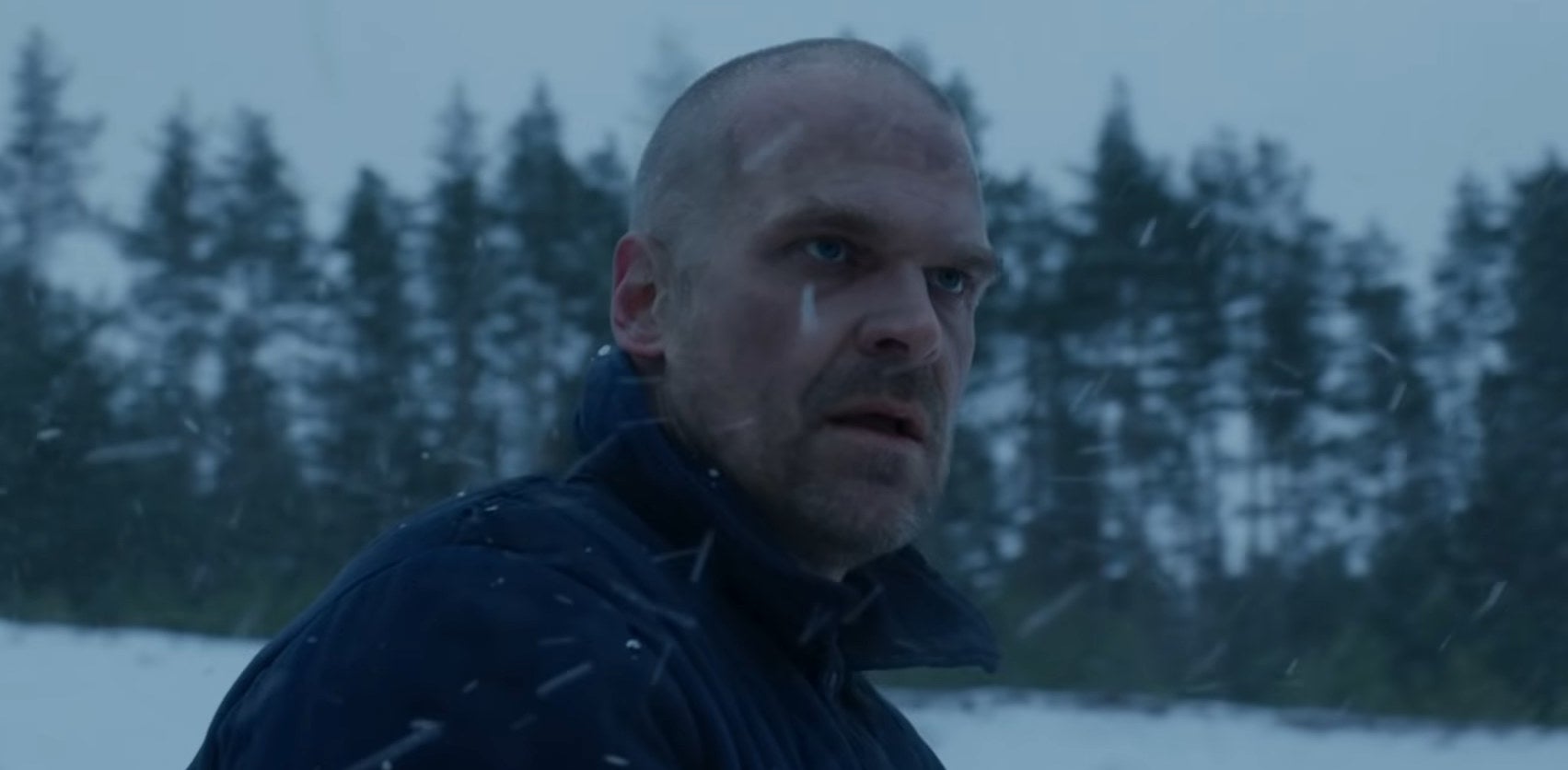 Hopper in a snowy Russian field in &quot;Stranger Things&quot;