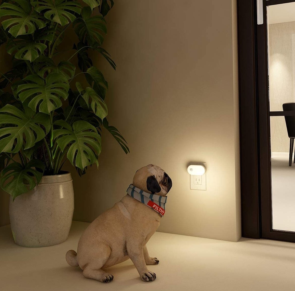 a dog looking at a motion sensor night light in a dimly lit room