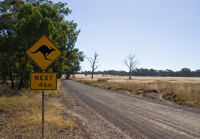 Kangaroo crossing road sign