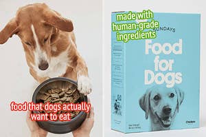 a dog looking at a bowl of food and a box of chicken recipe dog food