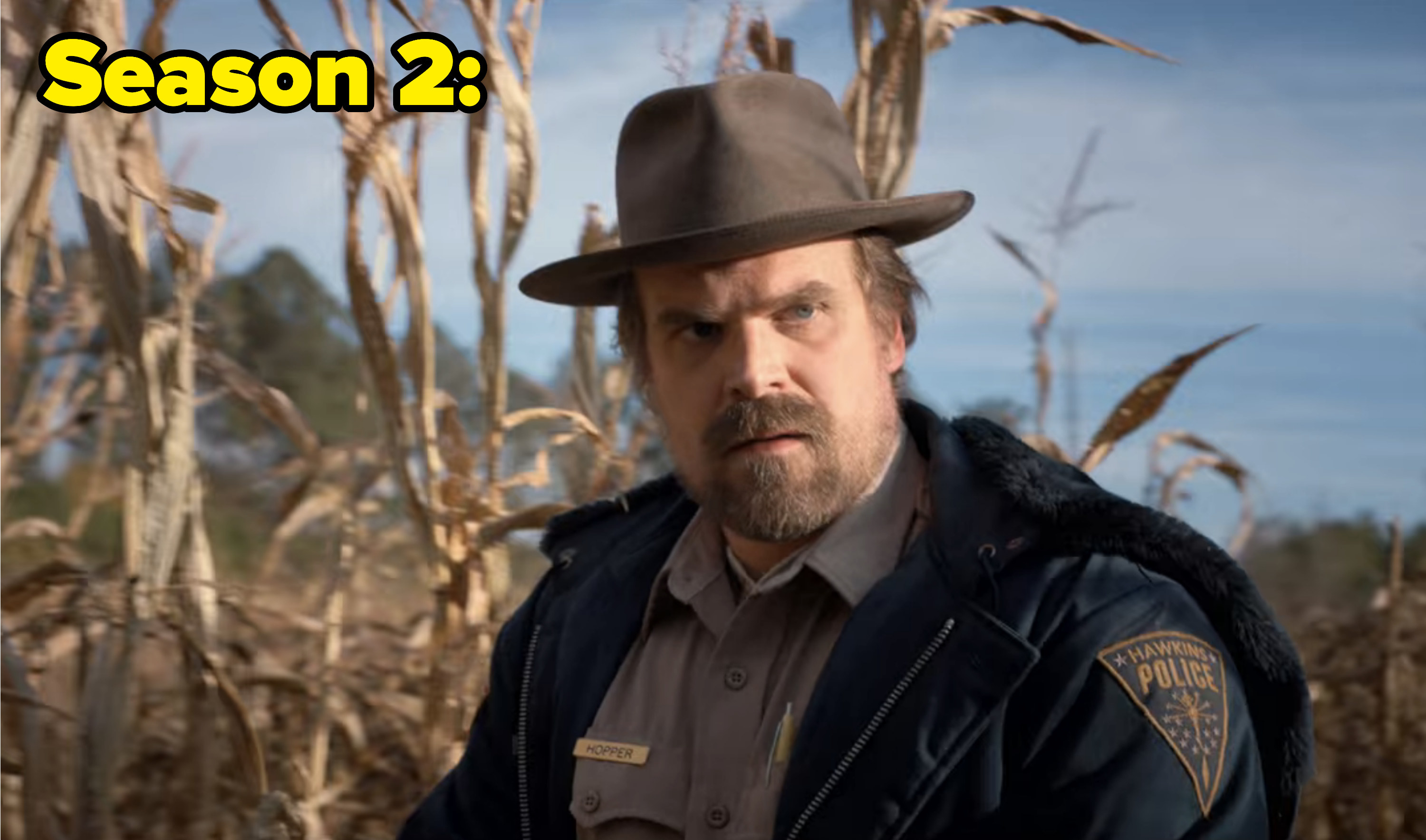 Hopper in Season 2