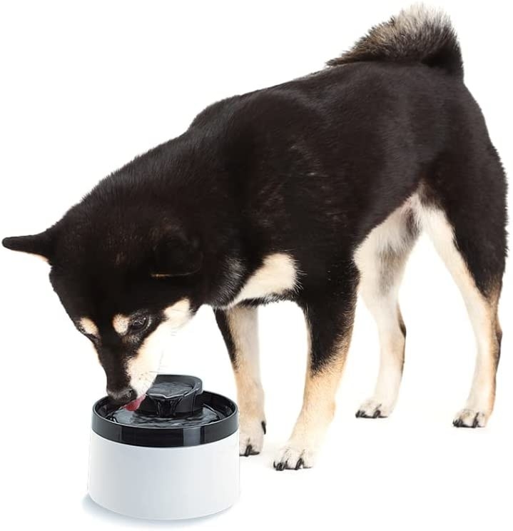 Bebedero automático de agua para tu mascota