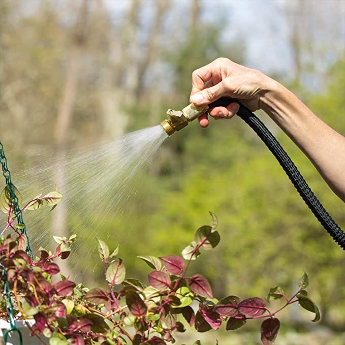 A person using the hose to water a plant