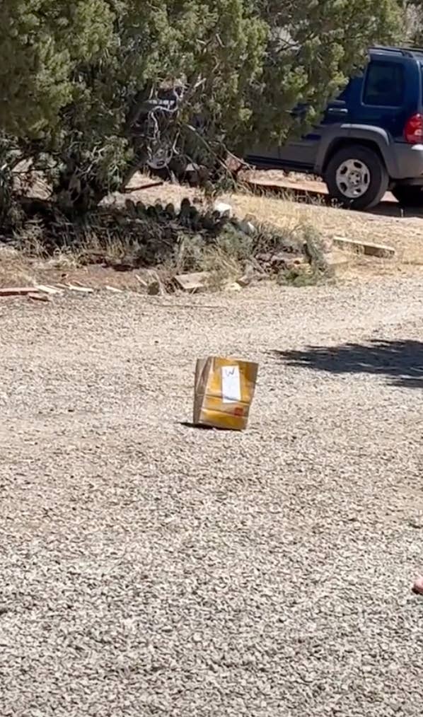 A photo of a bag of food placed a long distance away in the middle of a driveway