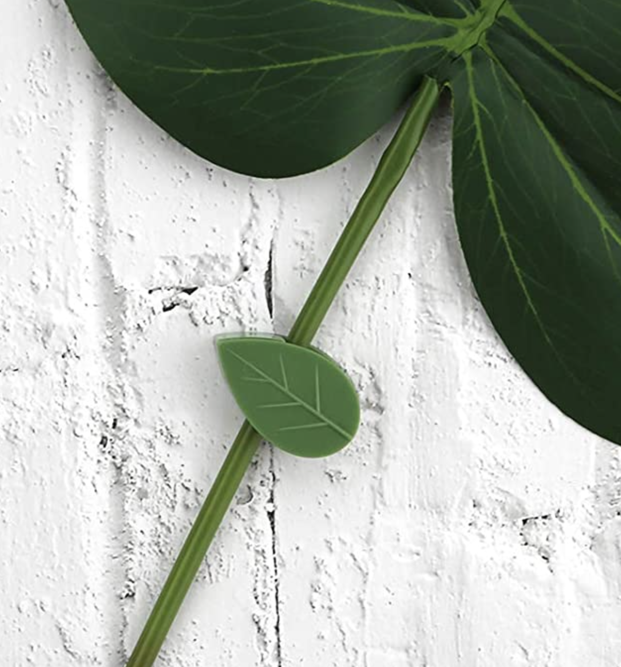 The plant clip holding the stem of a leaf to a wall