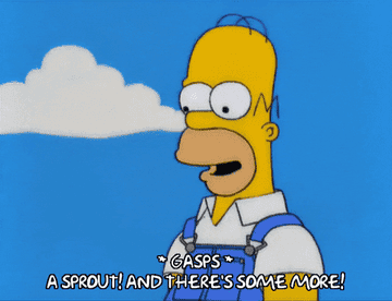 A gif of Homer Simpson saying &quot; a sprout and there&#x27;s some more!&quot; in the garden