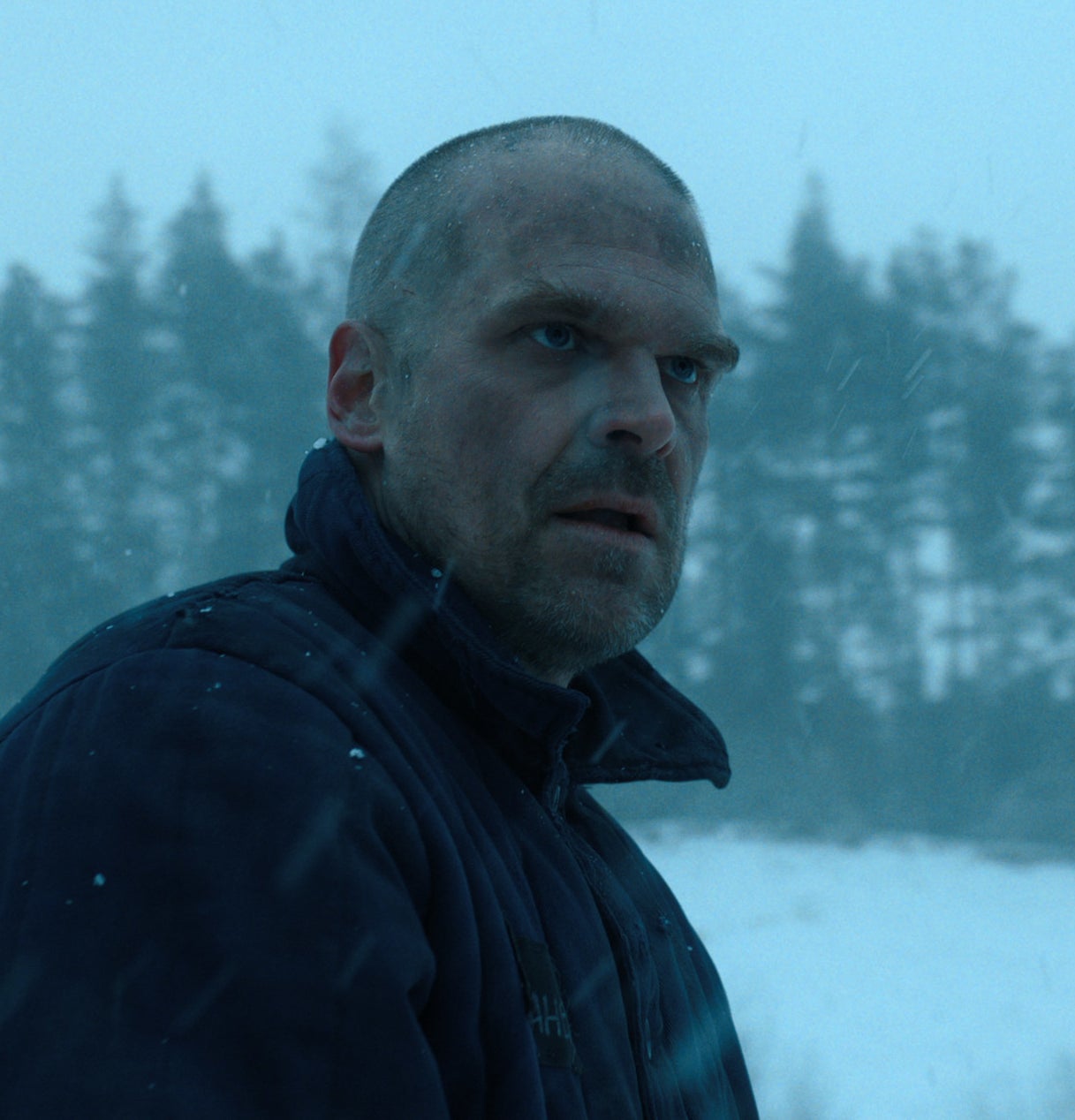David Harbour outside in the snow