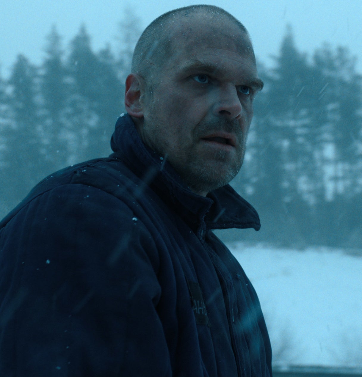 David Harbour outside in the snow