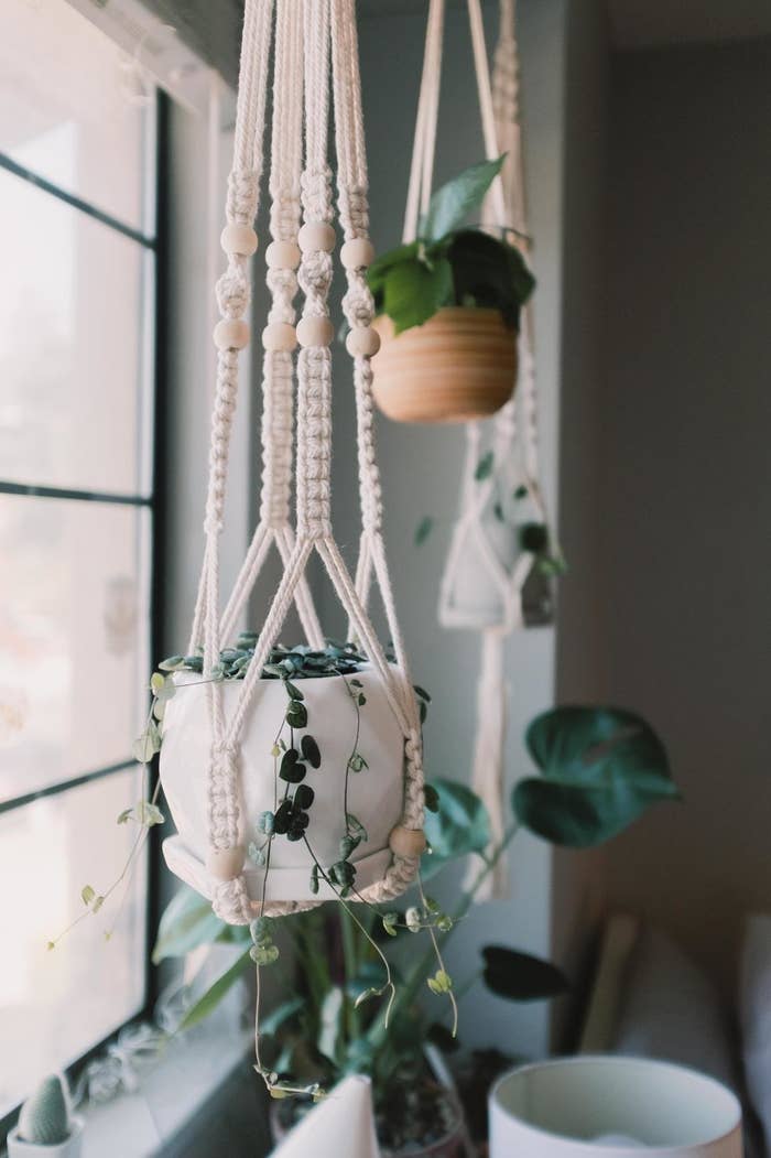 a reviewer&#x27;s image of the plant holder hanging next to a window