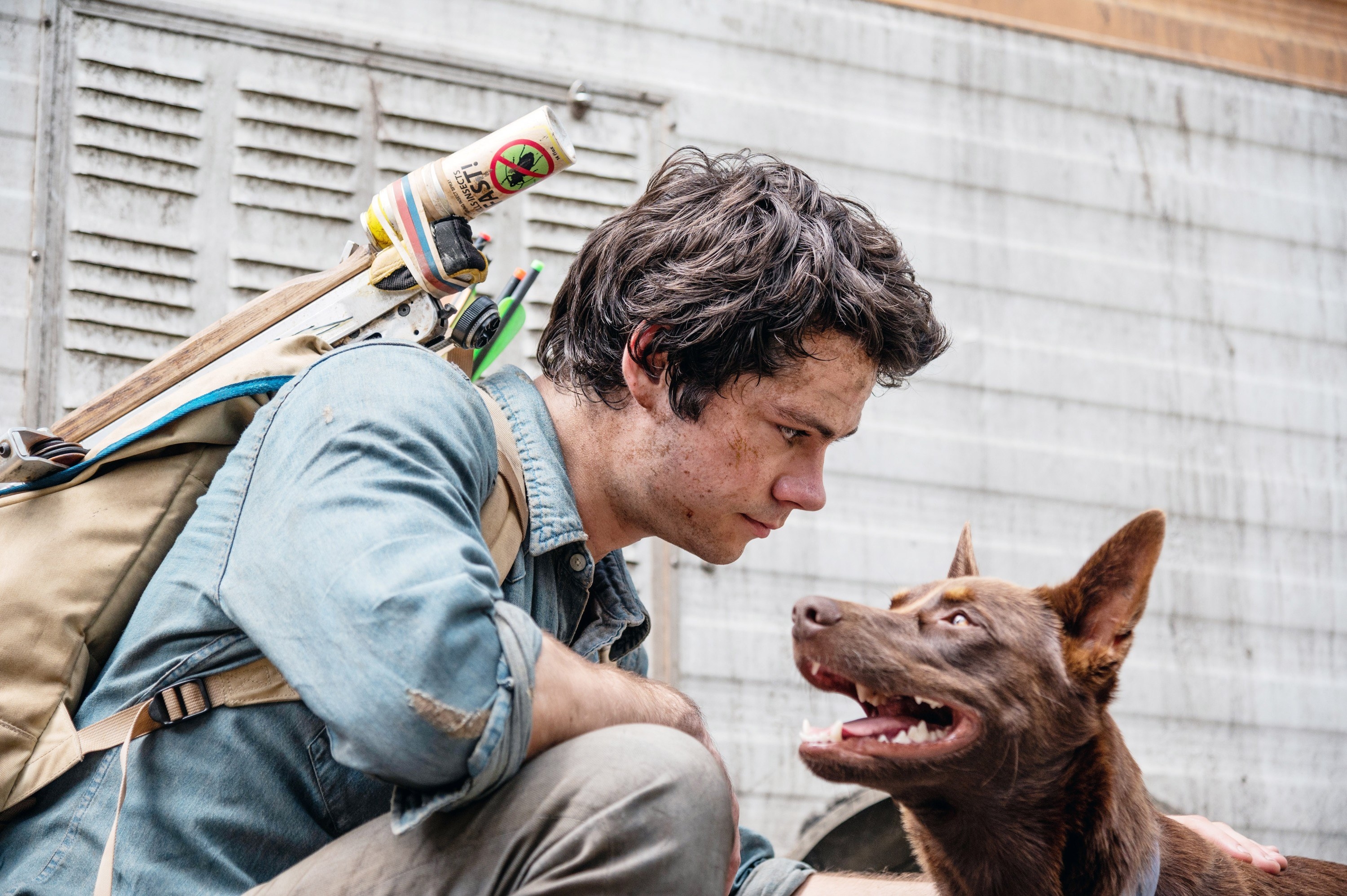 Dylan O&#x27;Brien looks at a dog