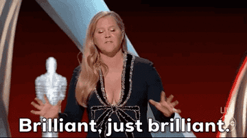 A GIF of Amy Schumer saying brilliant just brilliant