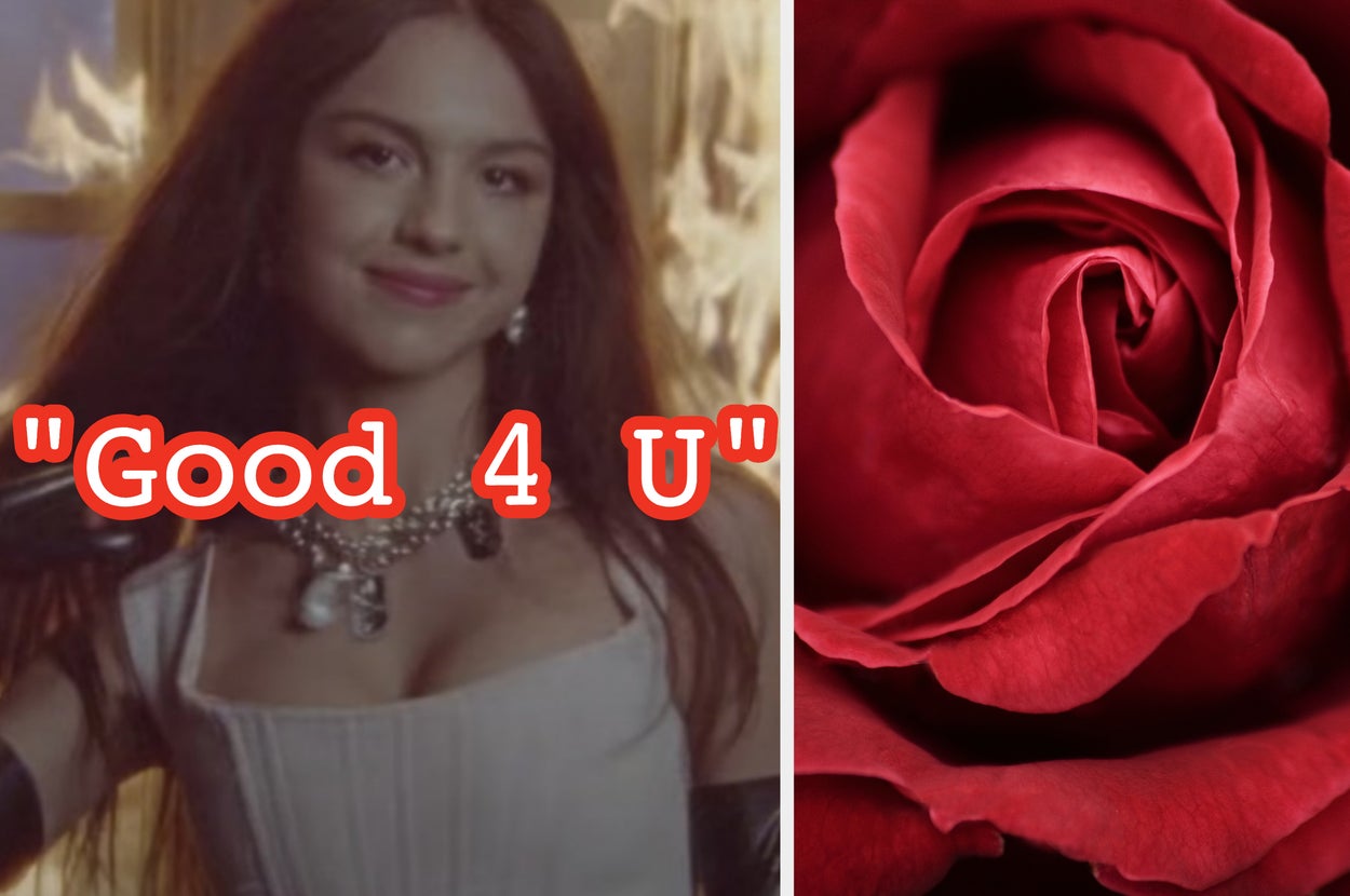 Olivia Rodrigo flips her shoulder and a close up of a rose
