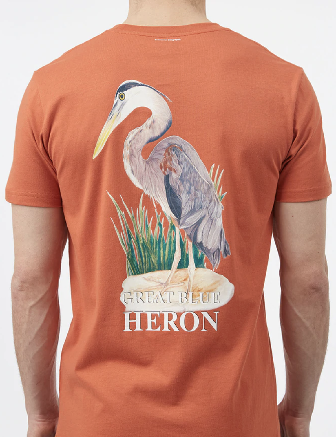 The back of the shirt to show the blue heron design