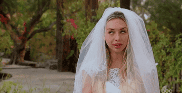Trashy Wedding Guest Stories – Reddit