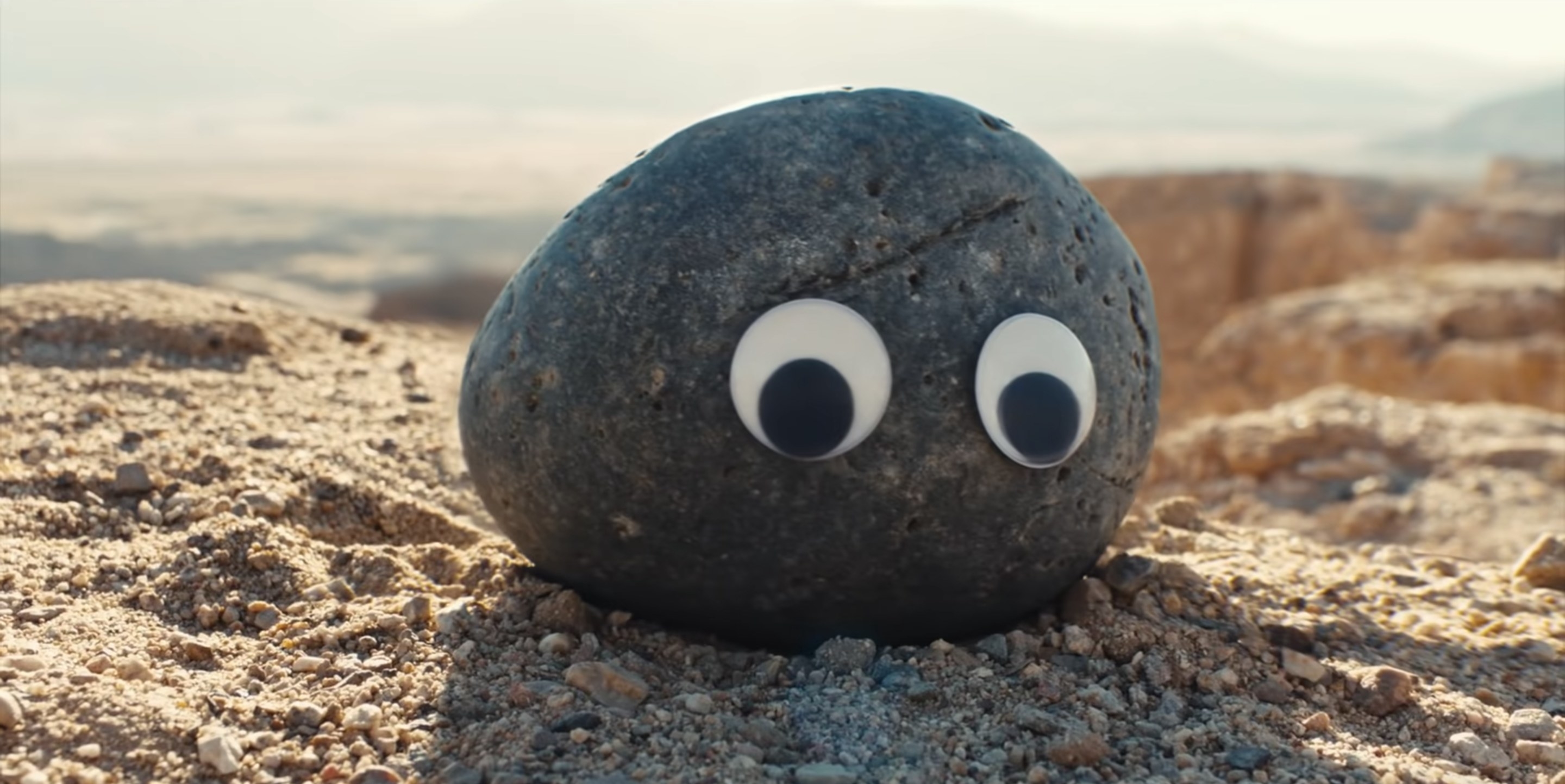 Evelyn as a rock with googly eyes